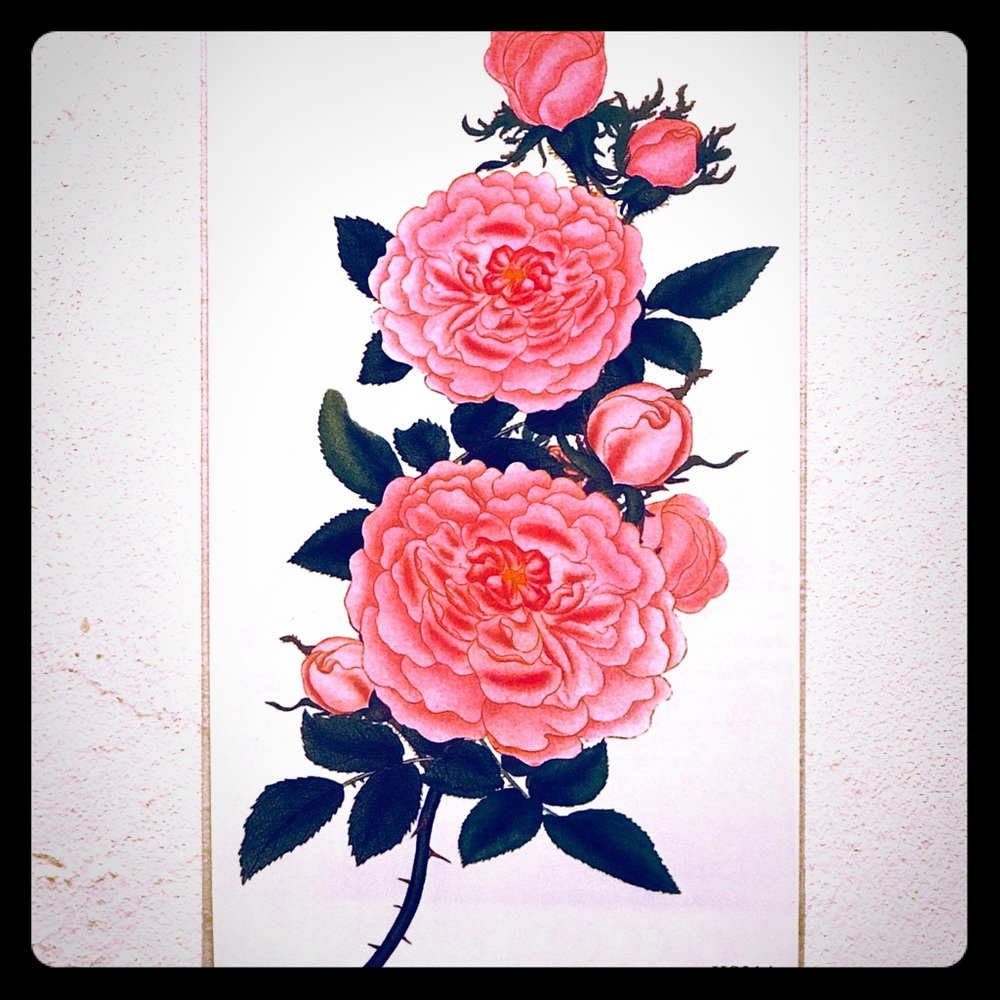 TEMPORARY PINK PEONY TATTOO 🌸